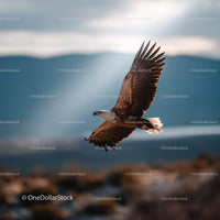 Large Soaring Brown Eagle in Flight Over Mountain Landscape