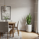 Modern Dining Room with Houseplant Snake Plant and Minimalist Decor