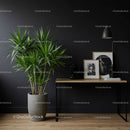 Elegant Modern Interior with Green Plant and Black Decorative Elements