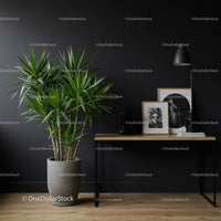 Elegant Modern Interior with Green Plant and Black Decorative Elements