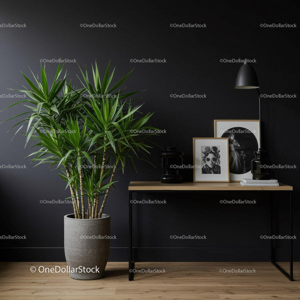 Elegant Modern Interior with Green Plant and Black Decorative Elements