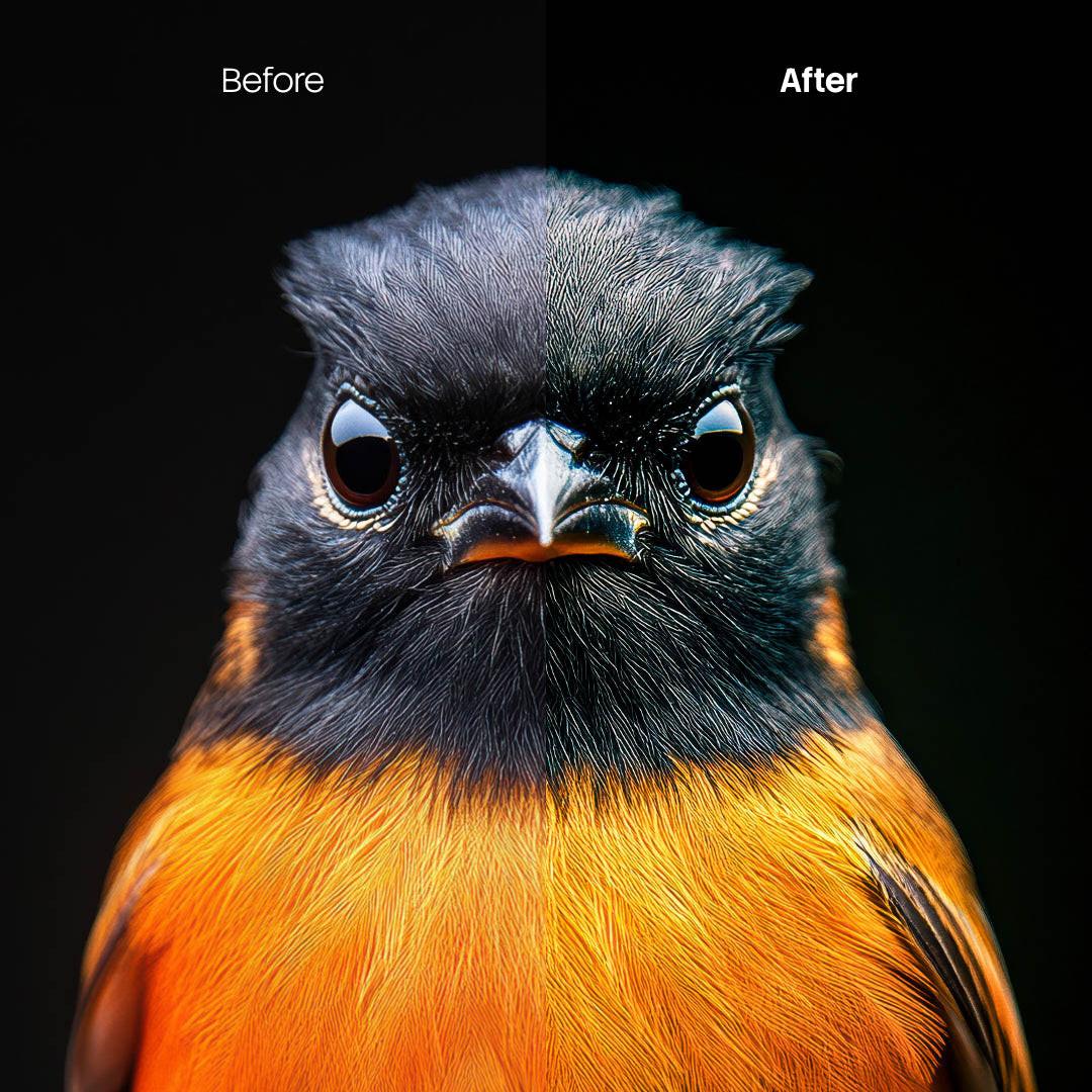 Animal Portraits XMP presets color grading preview