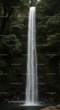 Tall waterfall cascading through dense green forest