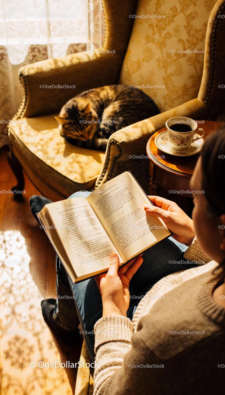 Cozy afternoon reading with cat and warm cup of tea