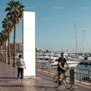Coastal promenade with yachts and palm trees on sunny day