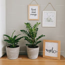 Indoor Foliage and Wall Art in Modern Living Room