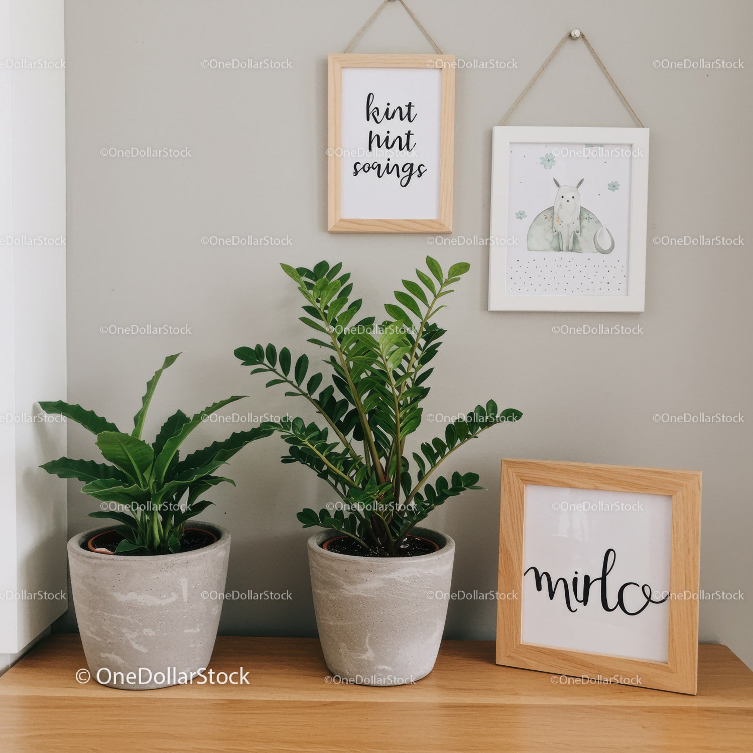Indoor Foliage and Wall Art in Modern Living Room