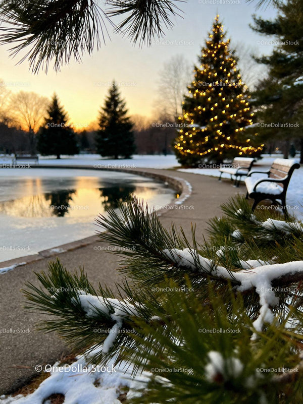 Snowy park pathway with lit Christmas tree at sunset