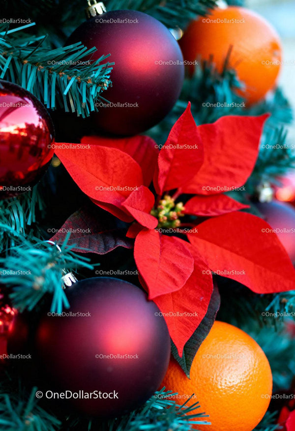 Festive Christmas pine with red poinsettia and ornaments