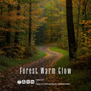 Forest Warm Glow LUT Pack preview