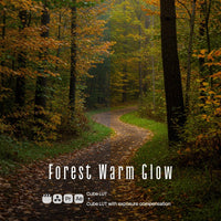 Forest Warm Glow LUT Pack preview