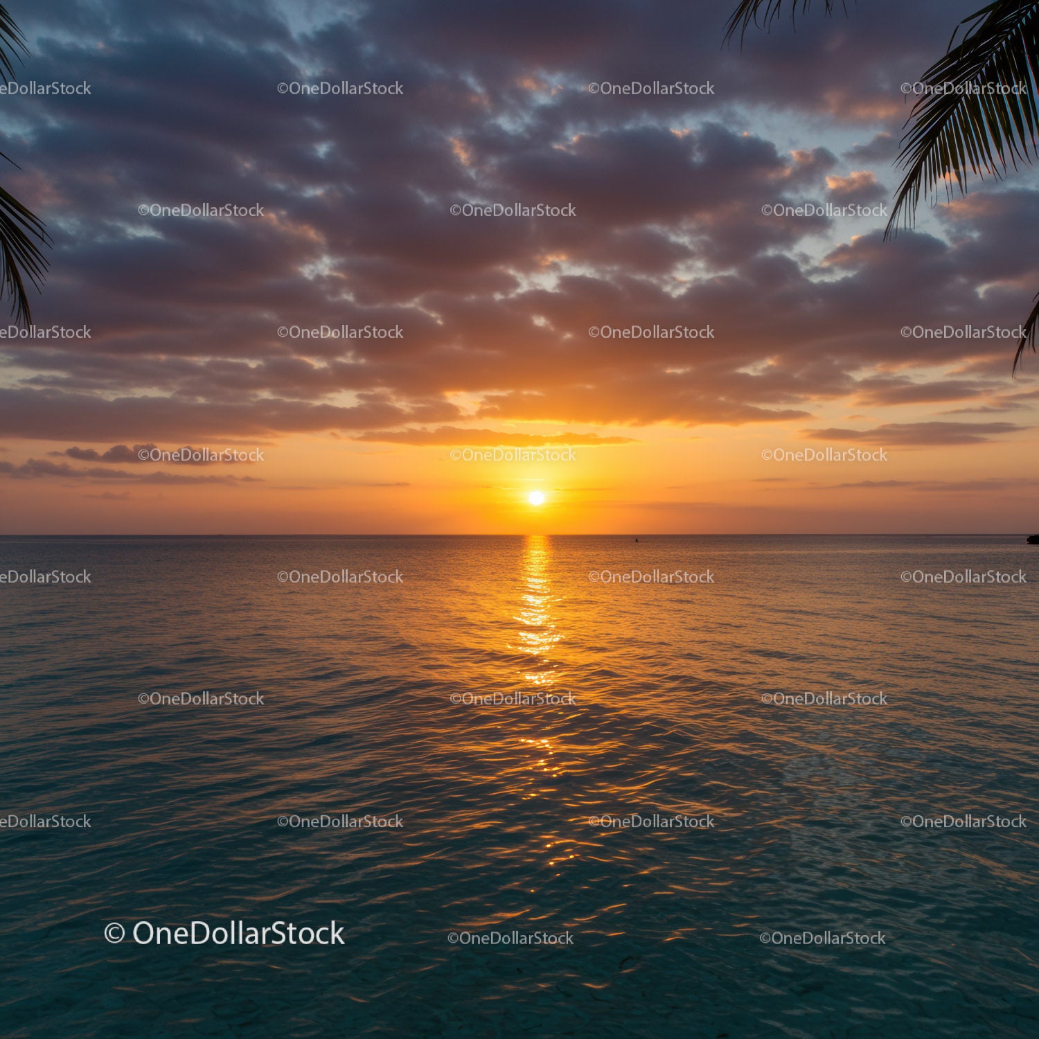 Beautiful Sunset Over Calm Ocean with Tropical Palm Trees