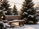 Snow-covered bench beside decorated winter pine trees