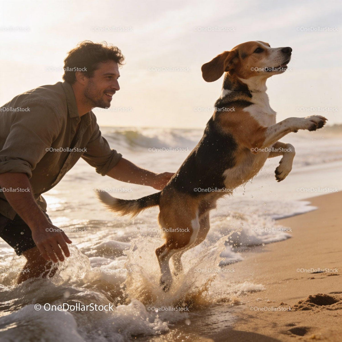 Man Playing with Beagle Dog on Sunny Beach Shore