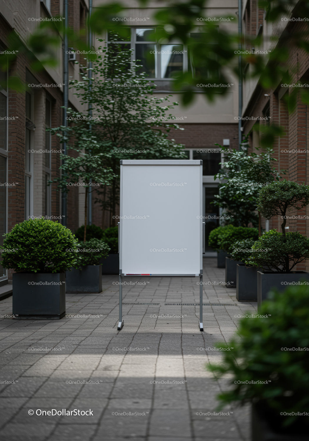 Blank whiteboard in modern courtyard garden space