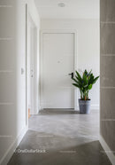 Minimalist White Door Entrance Hall with Green Potted Plant