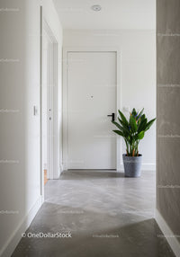 Minimalist White Door Entrance Hall with Green Potted Plant