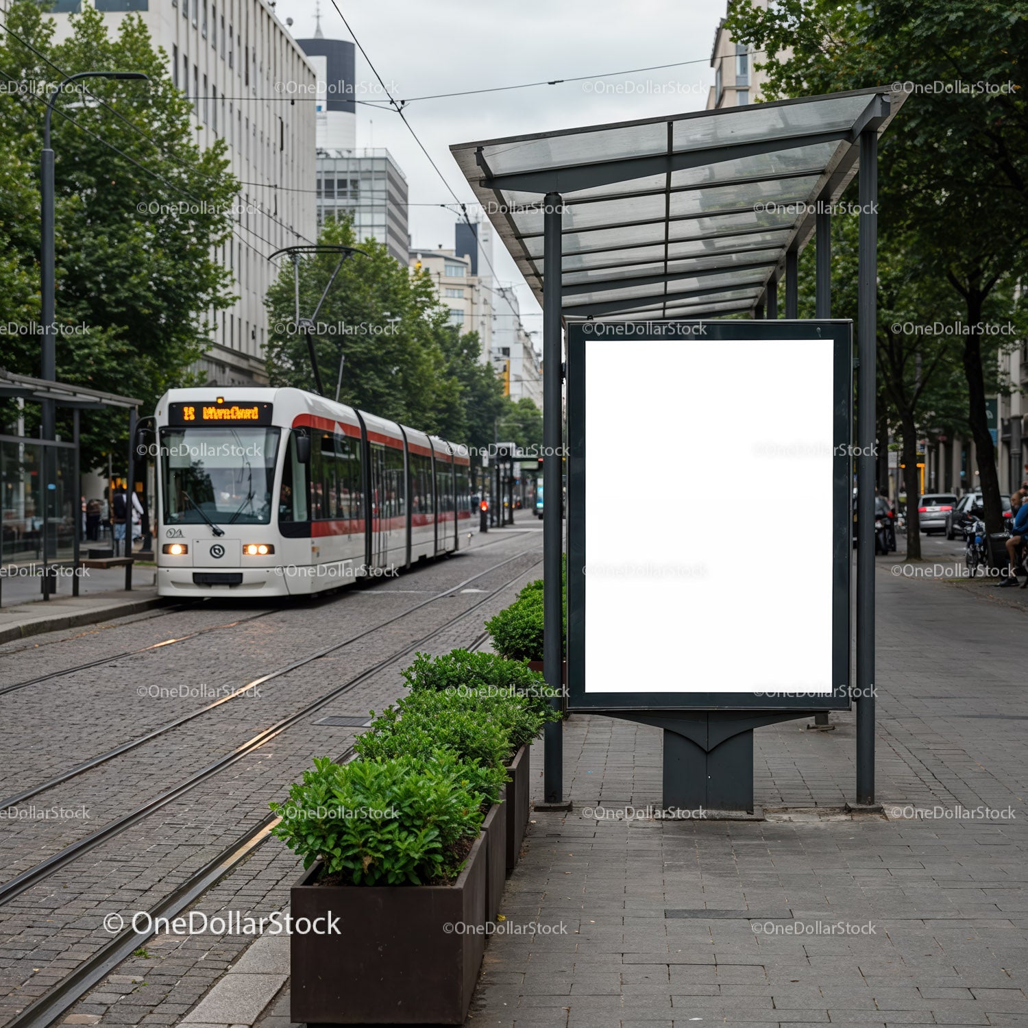 Nowoczesny tramwaj zbliża się do przystanku miejskiego w pochmurny dzień