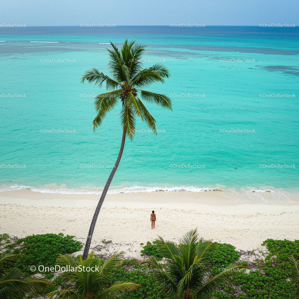 Lonely Traveler on a Tropical Beach Under a Palm Tree