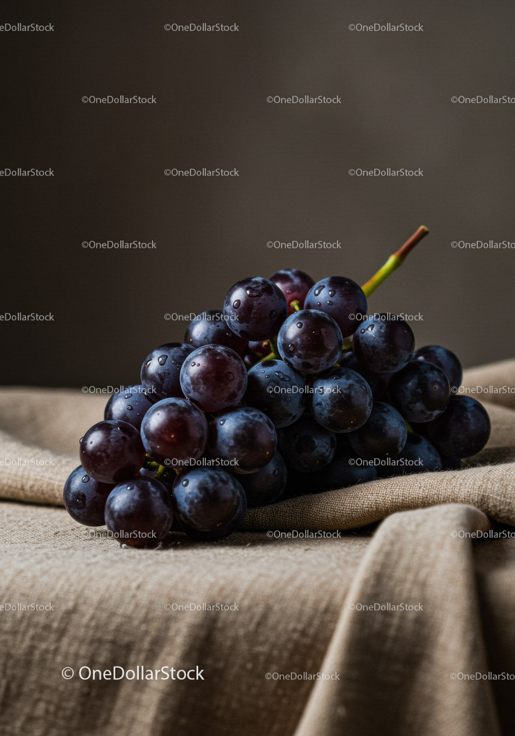 Fresh black grapes resting on textured fabric surface