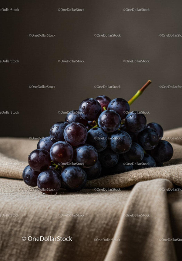 Fresh black grapes resting on textured fabric surface
