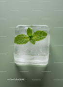 Fresh Mint Leaves Embedded in Clear Ice Cube