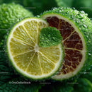 Close-Up of Fresh Lime with Mint Leaf and Water Droplets