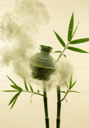 Green bamboo shoots with smoky glass jar suspended