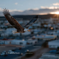 Majestic Bald Eagle in Flight with Wings Spread Over Mountain Horizon