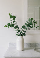 Elegant Eucalyptus Foliage in White Vase on Marble Surface