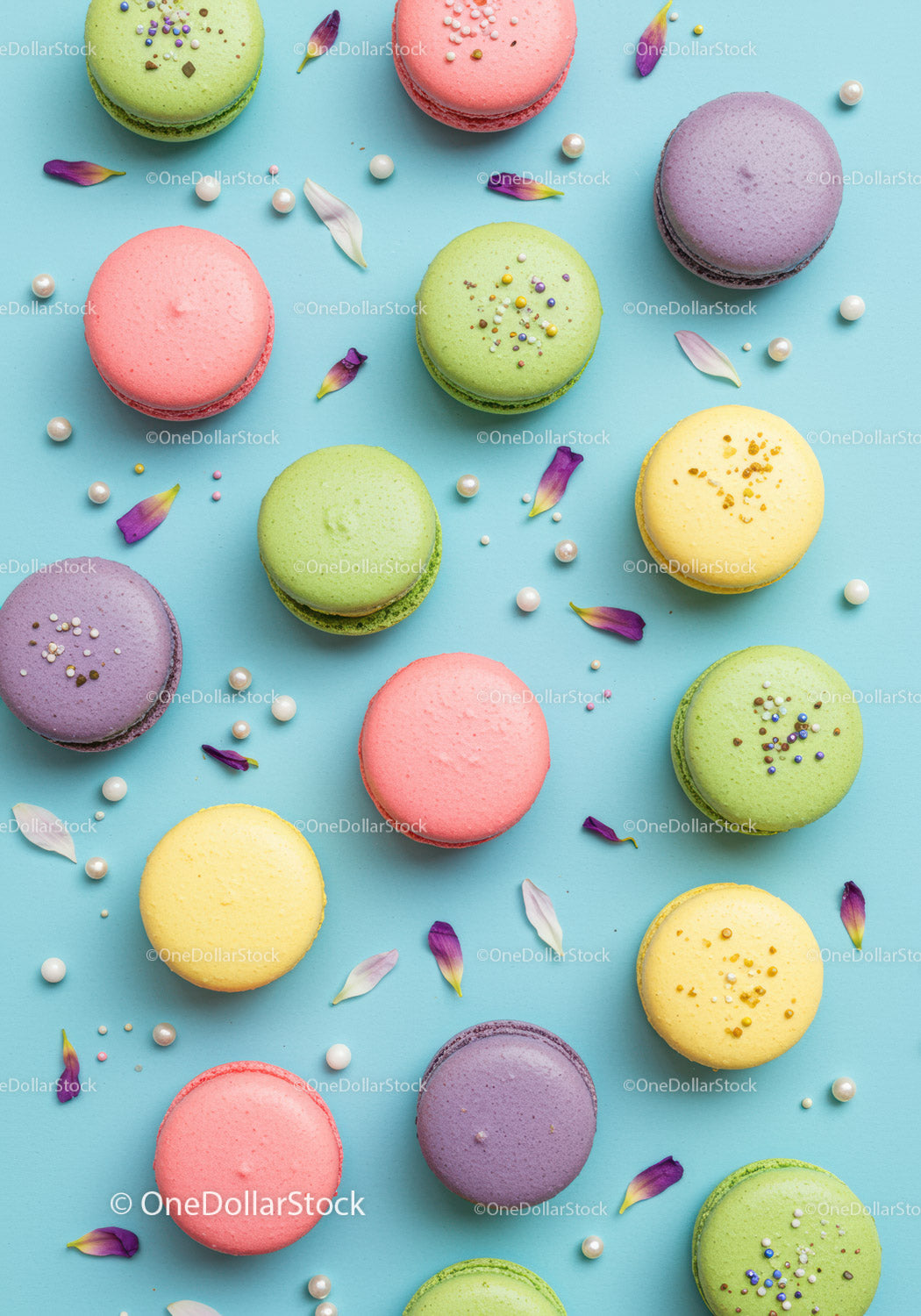 Colorful macaron assortment with decorative petals and pearls