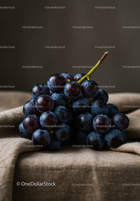 Fresh Black Grapes Cluster with Dew Drops on Fabric