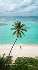 Lonely Traveler on a Tropical Beach Under a Palm Tree