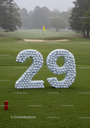 Number 29 Made of Golf Balls on Green Course