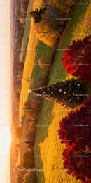 Decorated Christmas Tree in Autumn Landscape at Sunset