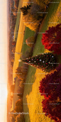 Decorated Christmas Tree in Autumn Landscape at Sunset