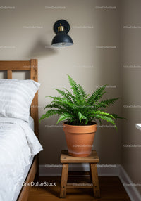 Green Fern in Clay Pot on Wooden Stool beside Bed in Cozy Bedroom