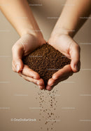 Hands Gently Holding Pouring Coffee Granules