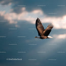 Majestic Bald Eagle in Flight Over Sky with Cloud Background