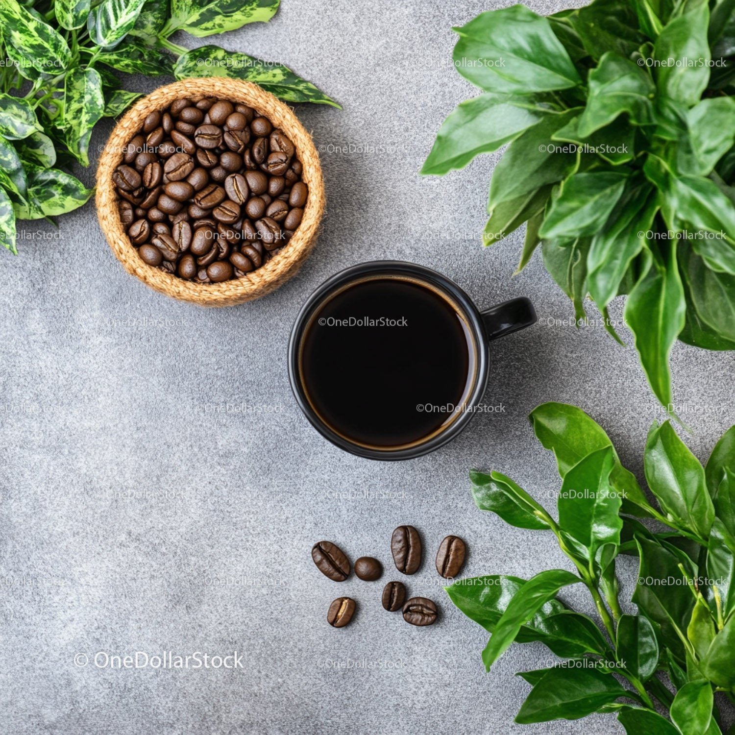 Coffee Beans and Green Plants in a Modern Home Setting