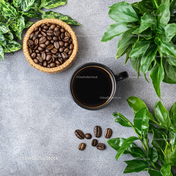Black Coffee With Roasted Beans And Green Leaves