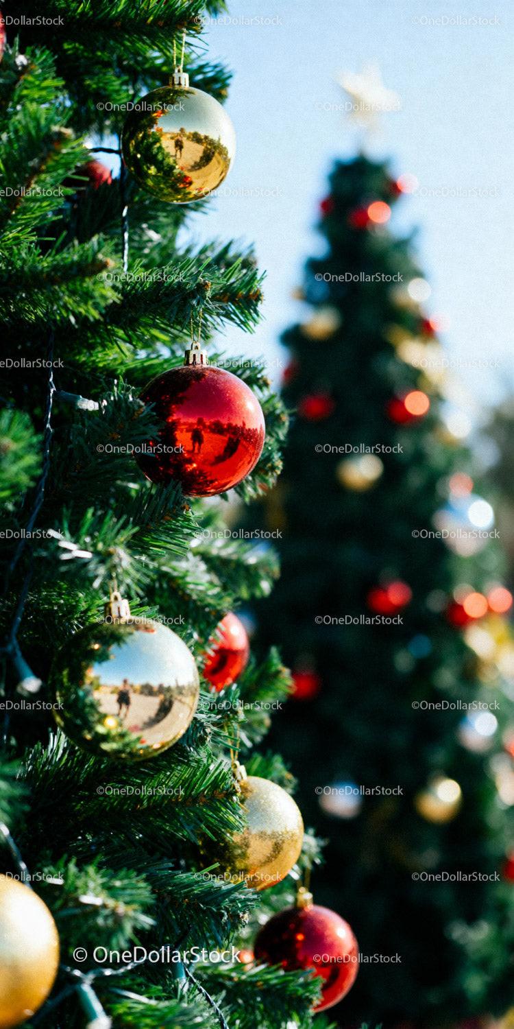 Festive Red and Gold Baubles on Christmas Tree