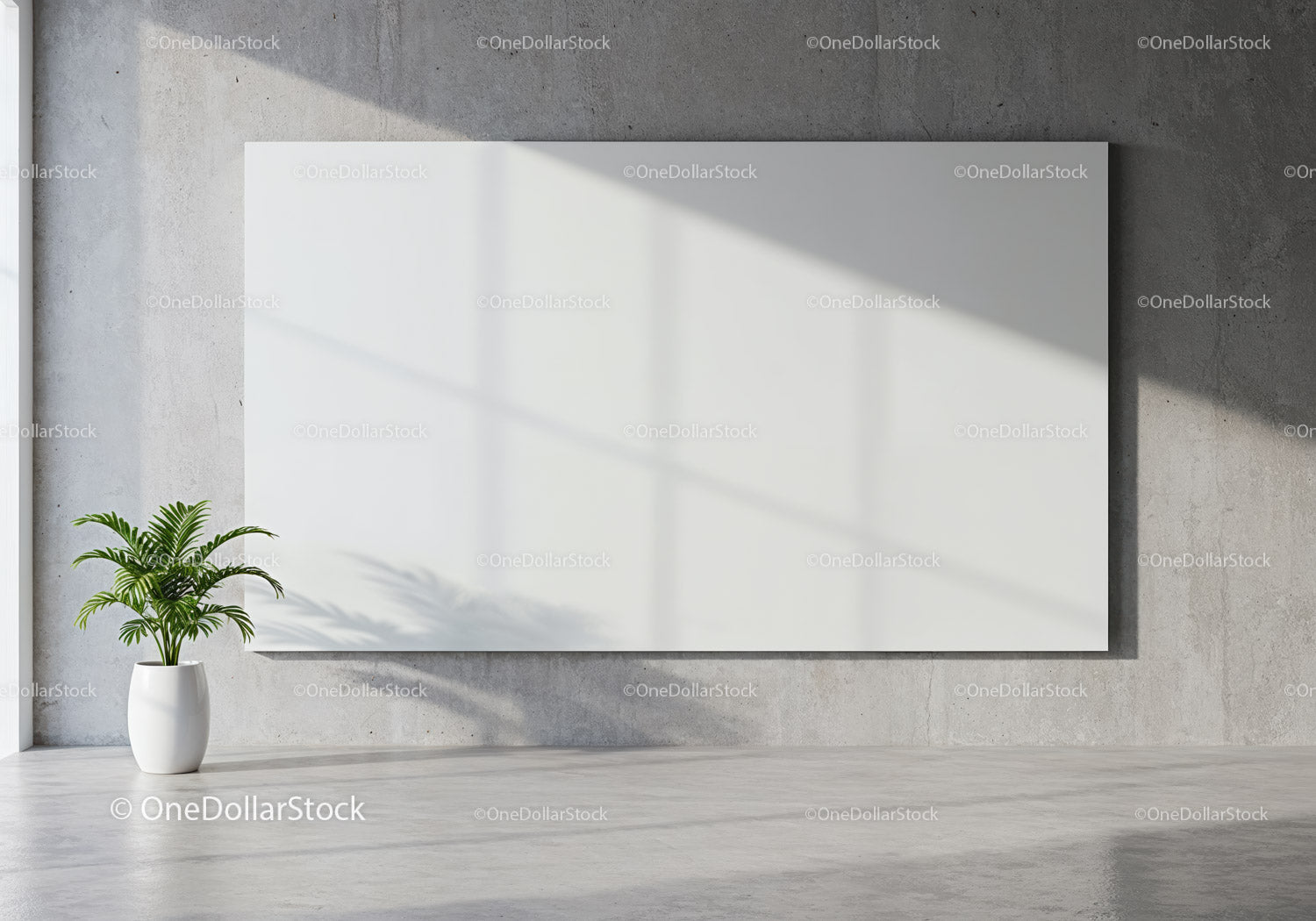 Bright Minimalist Room with Large Blank Canvas and Plant