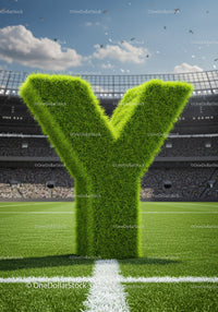 Large Grass Letter Y on Soccer Field in Stadium