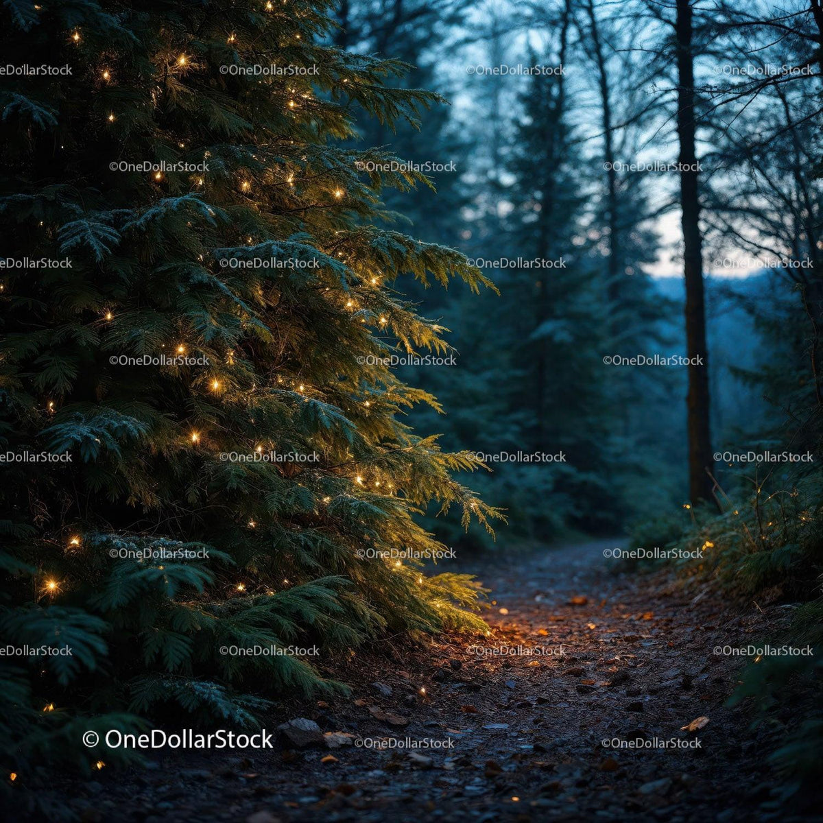 Twinkling Lights on Pine Tree Along Forest Path