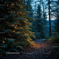 Twinkling Lights on Pine Tree Along Forest Path