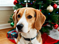 Beagle dog near decorated Christmas tree with gifts