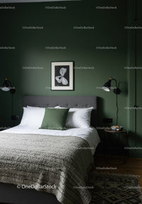 Elegant Green Wall Bedroom with Modern Decor and Cozy Bed