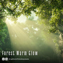 Forest Warm Glow Lightroom presets cover preview