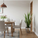 Contemporary Dining Room with Wooden Table and Indoor Snake Plant